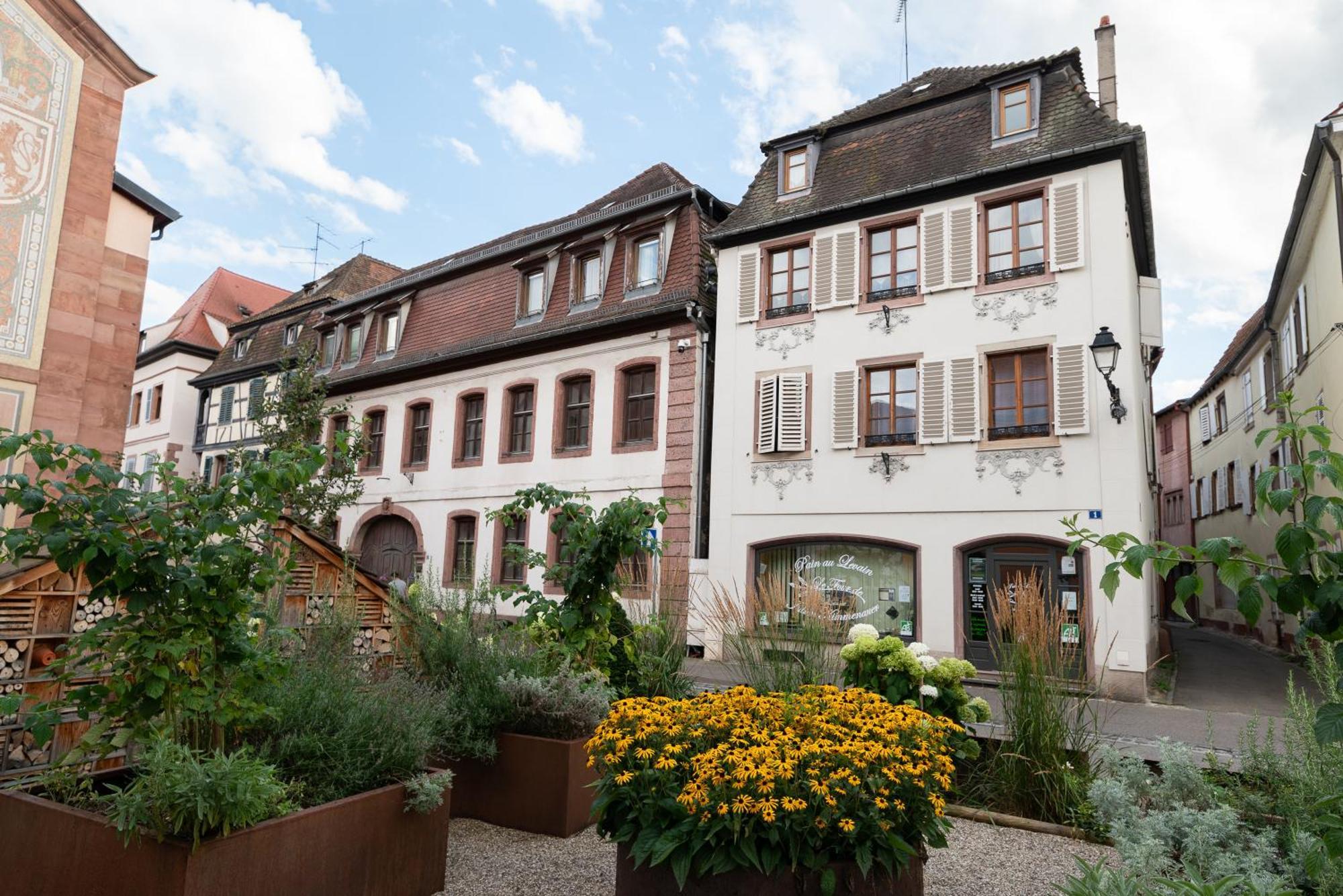 Le Repaire Du Chanceux Selestat Luaran gambar
